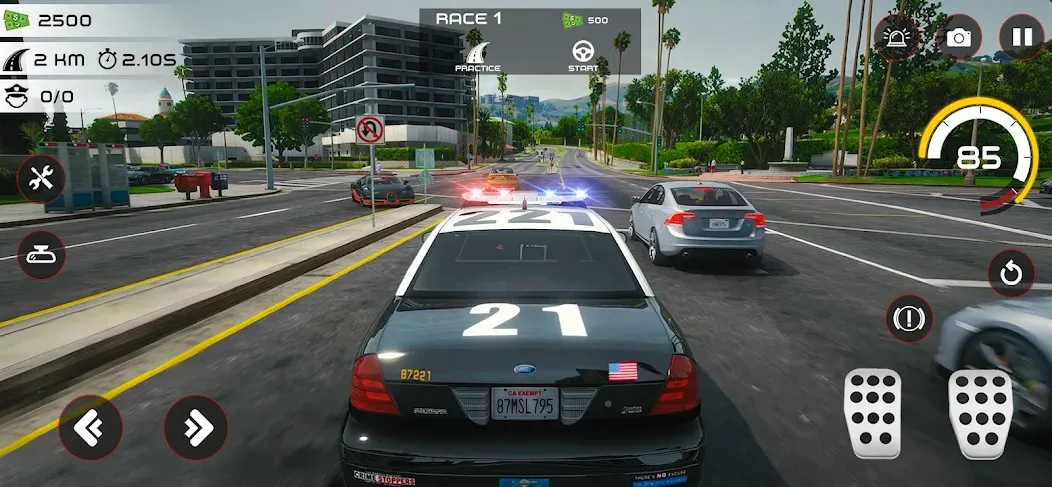 Highway Police Chase Simulator  [МОД Много монет] Screenshot 1