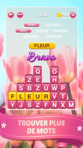 Mots Malins - Jeu de mots pro (Мо Малинс)  [МОД Много денег] Screenshot 3